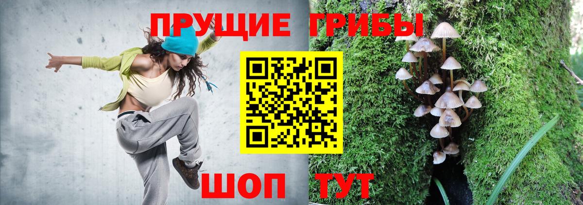 Галлюциногенные грибы Cubensis Луга