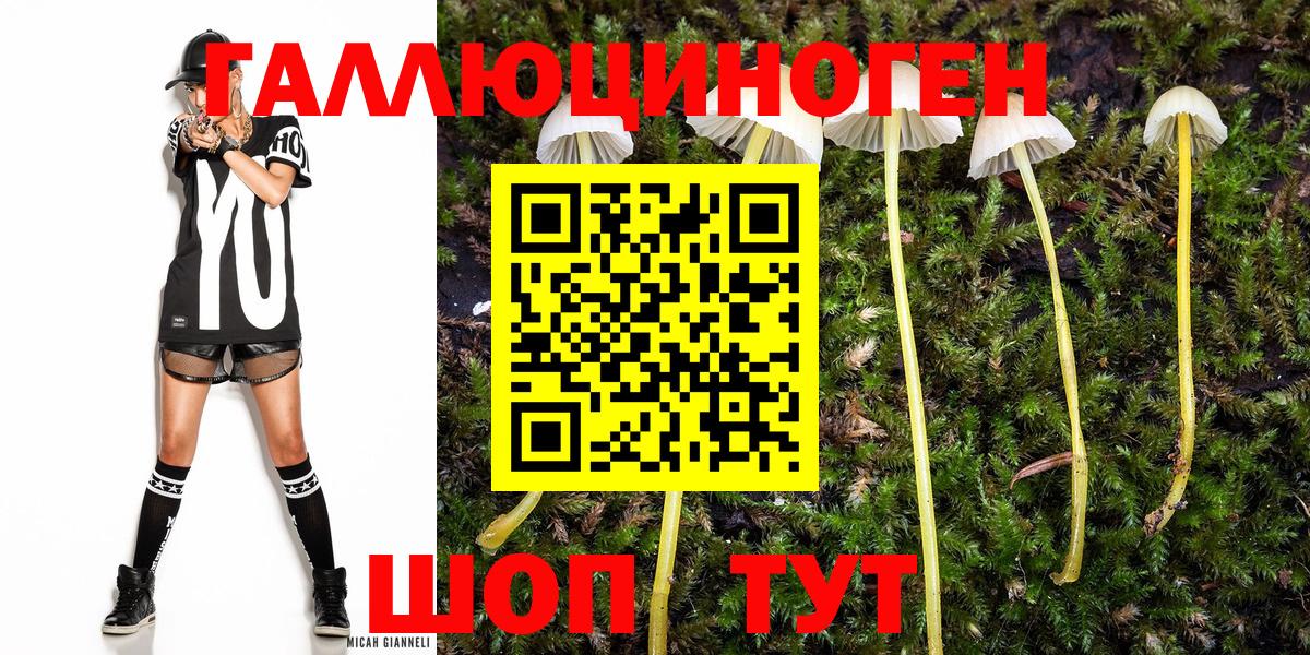 Луга  Псилоцибиновые грибы Cubensis  Галлюциногенные грибы мухоморы  Вход с VPN 
